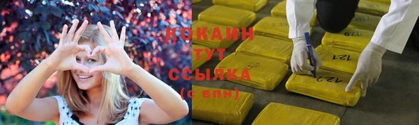 сатива Нея