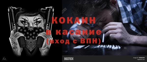 сатива Нея