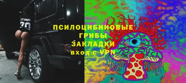 индика Нефтегорск
