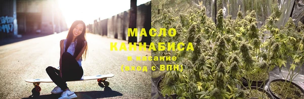 индика Нефтегорск