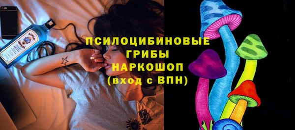 индика Нефтегорск
