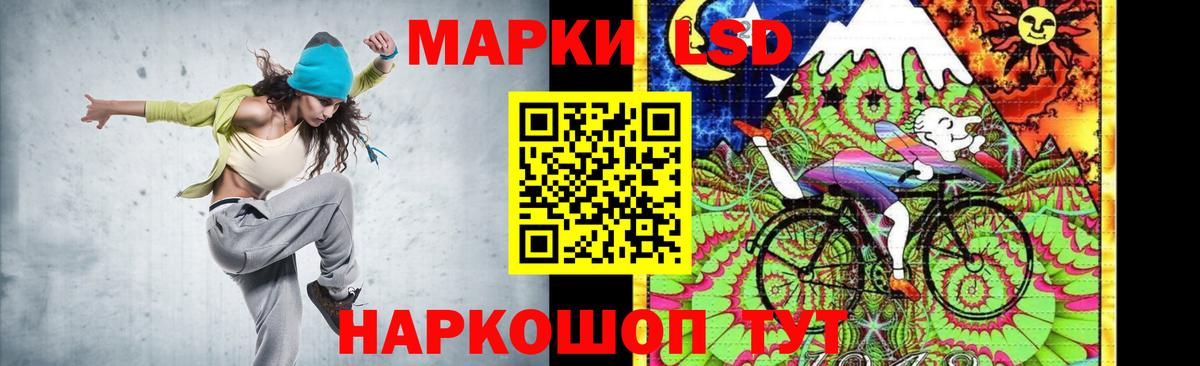 Альфа ПВП Владимир