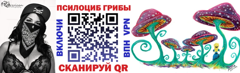 где найти наркотики  Владимир  Галлюциногенные грибы ЛСД 