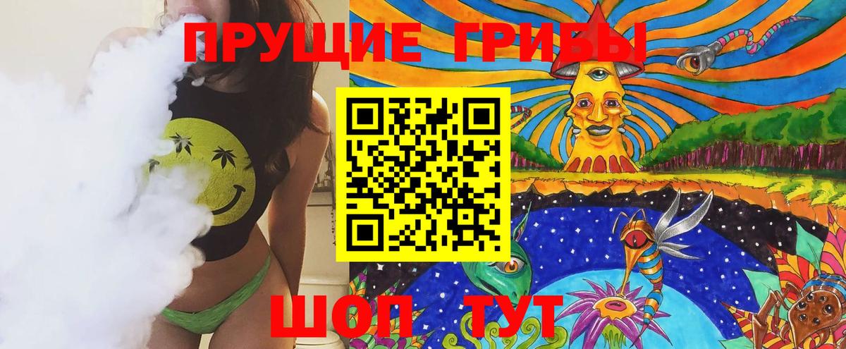 Галлюциногенные грибы Cubensis Владимир