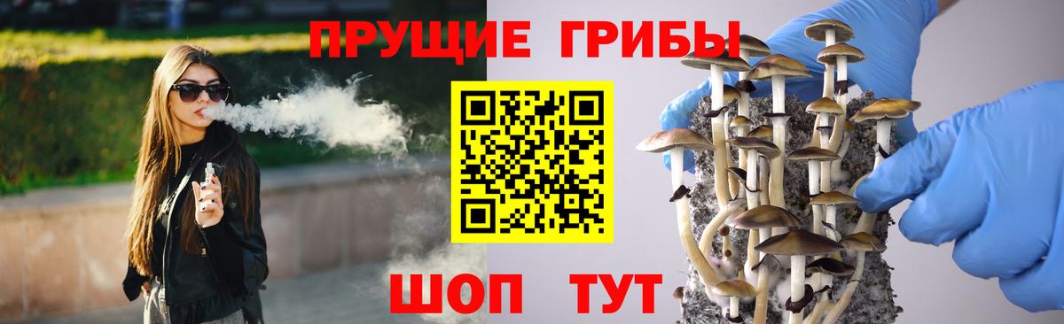 Галлюциногенные грибы MAGIC MUSHROOMS  Псилоцибиновые грибы Psilocybe  Вход с VPN  Владимир 